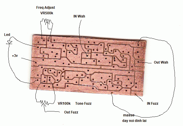 Mặt dưới bo wah-fuzz